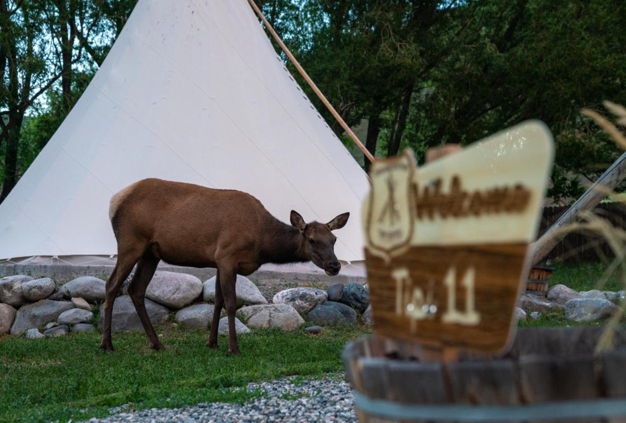 Dreamcatcher Tipi Hotel Gardiner Kültér fotó